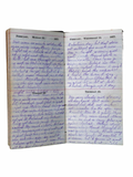 1877 Diary of a Very Young, Well Written and Social Wife of a Wisconsin Hog Farmer