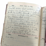 1893 + 1895 Diaries of the Widow of a Prominent Massachusetts Reverend Whose Children Are Grown and Who is Enjoying Her Golden Years in New York