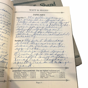 1928-1930 Diaries of the Dedicated Mother and Wife of a Shoe Trimmer Making the Most of Life in Pennsylvania During the Great Depression