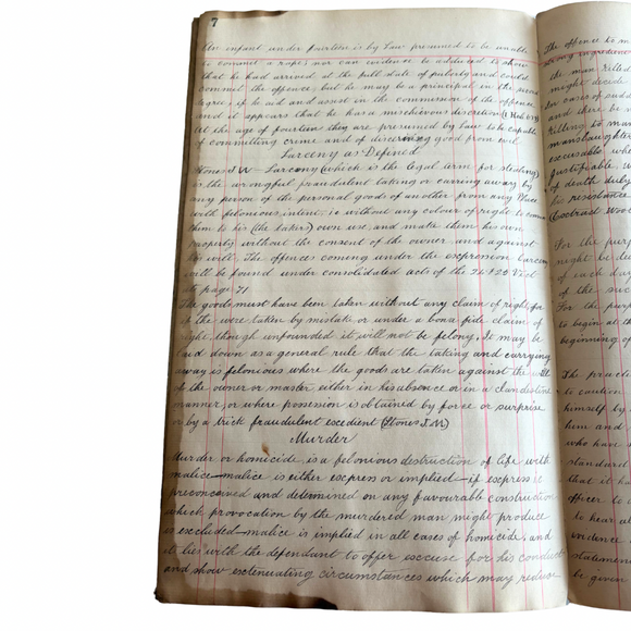 1892-1904 Remarkable Manuscript Journal of a Yorkshire, England Police Constable Reporting on the Crimes and Arrests He Makes Patrolling the Wild and Scandalous Streets of a Victorian-Era City of York