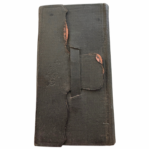1911 DIary of a Spunky, Academically Inclined 8th Grade Girl Who is the Baby of a Large Chautauqua County, New York Farming Family