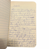 1977–1983 Manuscript Diaries of a Bisexual Ohio Father Confronting Addiction, Desire, Stigma and Disillusionment in Working-Class America