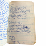 1977–1983 Manuscript Diaries of a Bisexual Ohio Father Confronting Addiction, Desire, Stigma and Disillusionment in Working-Class America