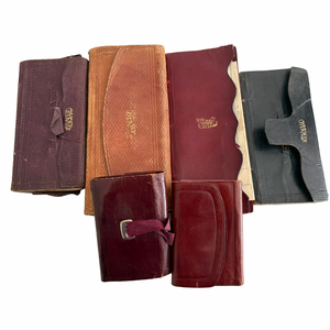 1873-1882 Archive of Diaries of a Student at Bowdoin College and Then Harvard Medical School Plus Diaries of His Future Wife